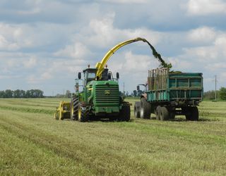 Правильно заготовлені силос і сінаж здатні роками зберігати поживність